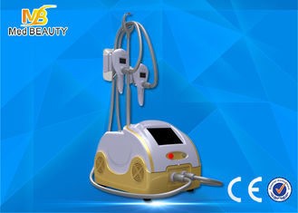 China Cryo Fat Dissolved Weight Loss Coolsculpting Cryolipolysis Machine leverancier