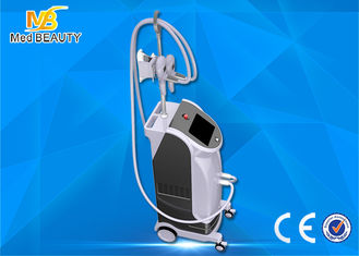 China Cryolipolisis fat freezing machine Coolsulpting Cryolipolysis Machine leverancier