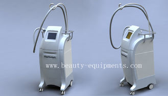 China 2012 Populairste Cryolipolysis Fat vermindering van Cryolipolysis Machines leverancier